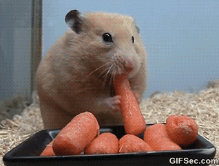 Food!